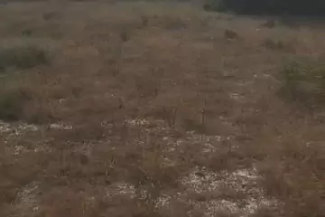 Satılır Torpaq Sabunçu Qəsəbəsida