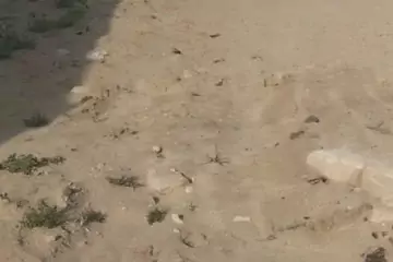 Satılır Torpaq Bakıda