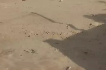 Satılır Torpaq Bakıda