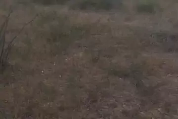 Satılır Torpaq Sabunçu Qəsəbəsida