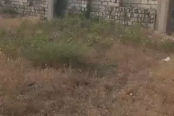 Satılır Torpaq Sabunçu Qəsəbəsida