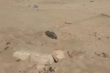Satılır Torpaq Bakıda