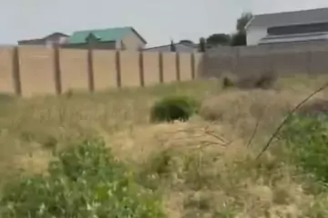 Satılır Torpaq Sabunçu Qəsəbəsida