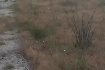 Satılır Torpaq Sabunçu Qəsəbəsida