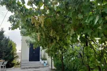 Satılır Həyət Evi Fatmayıda