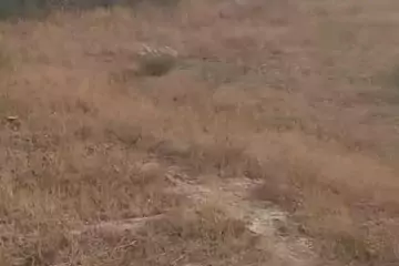 Satılır Torpaq Sabunçu Qəsəbəsida