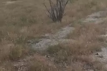 Satılır Torpaq Sabunçu Qəsəbəsida