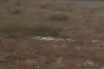 Satılır Torpaq Sabunçu Qəsəbəsida