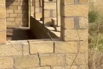 Satılır Torpaq Sabunçu Qəsəbəsida