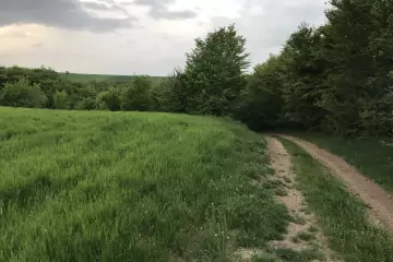 Satılır Torpaq Quba Rayonunda