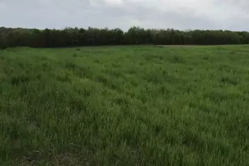 Satılır Torpaq Quba Rayonunda