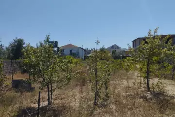 Satılır Torpaq Köhnə Coratda