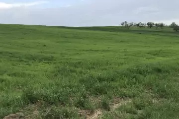 Satılır Torpaq Quba Rayonunda