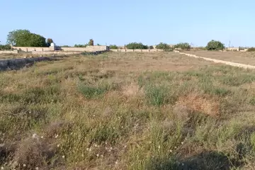 Satılır Torpaq Maştağada