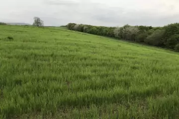 Satılır Torpaq Quba Rayonunda