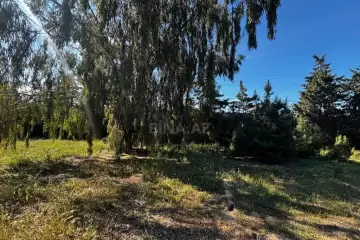 Satılır Torpaq şüvəlanda