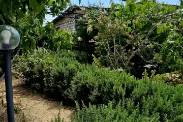 Günlük Kirayə Bağ Evi Türkənda
