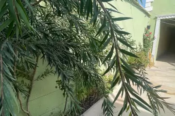 Satılır Həyət Evi Binəqədidə