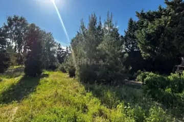 Satılır Torpaq şüvəlanda