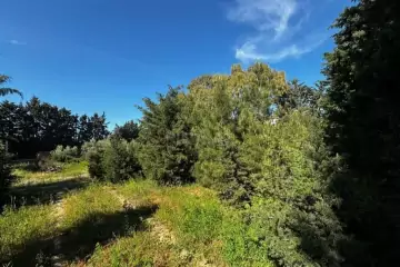 Satılır Torpaq şüvəlanda
