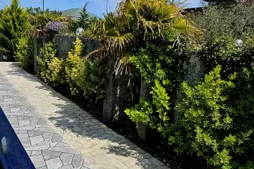 Günlük Kirayə Bağ Evi Türkənda