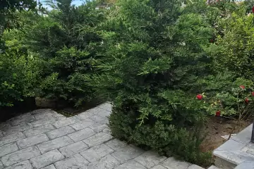 Günlük Kirayə Bağ Evi Türkənda
