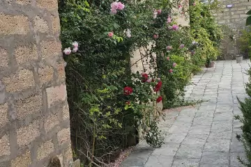 Günlük Kirayə Bağ Evi Türkənda