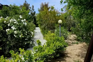 Günlük Kirayə Bağ Evi Türkənda