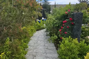 Günlük Kirayə Bağ Evi Türkənda
