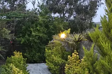 Günlük Kirayə Bağ Evi Türkənda
