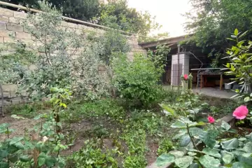 Satılır Köhnə Tikili Biləcəridə
