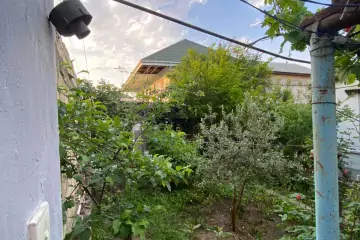 Satılır Köhnə Tikili Biləcəridə