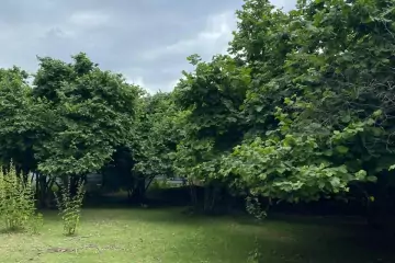 Satılır Torpaq Daşca Kəndində
