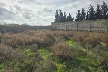 Satılır Torpaq Bakıda