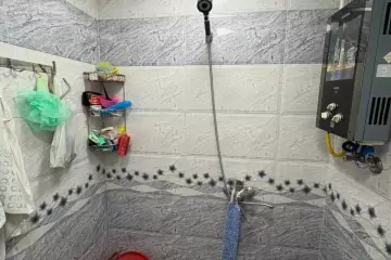 Satılır Köhnə Tikili Xalqlar Dostluğuda