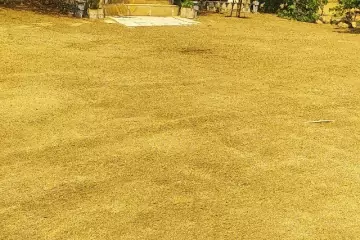 Satılır Bağ Evi Novxanıda
