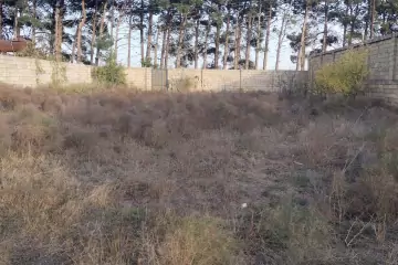 Satılır Torpaq Goradildə