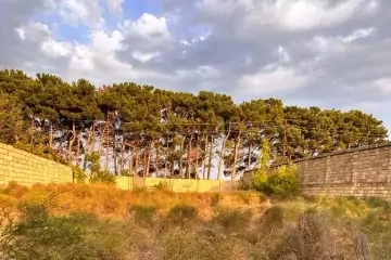 Satılır Torpaq Goradildə