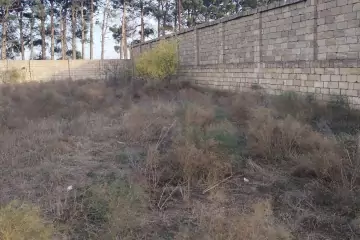 Satılır Torpaq Goradildə