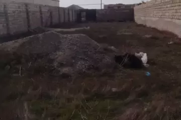 Satılır Torpaq Binədə