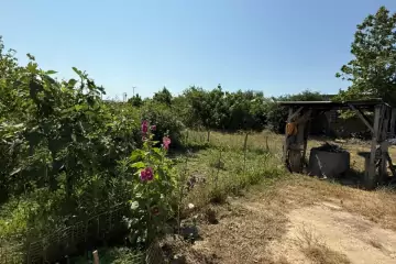 Satılır Torpaq Ramanada