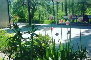 Günlük Kirayə Bağ Evi Quba Rayonunda