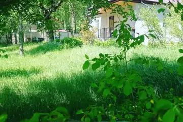 Günlük Kirayə Bağ Evi Quba Rayonunda