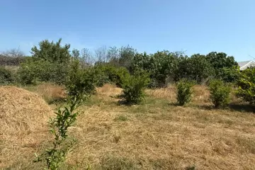 Satılır Torpaq Ramanada