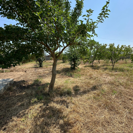 Satılır 3 otaqlı Həyət evi 100 m², 22 sot  torpaq, Buzovna