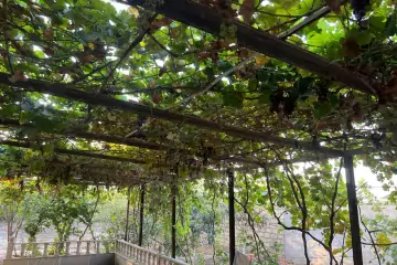 Satılır Həyət Evi Goradildə