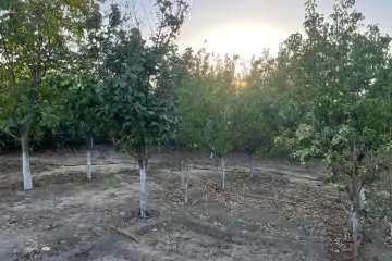 Satılır Həyət Evi Goradildə