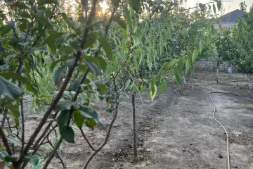 Satılır Həyət Evi Goradildə