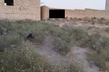 Satılır Torpaq Masazırda