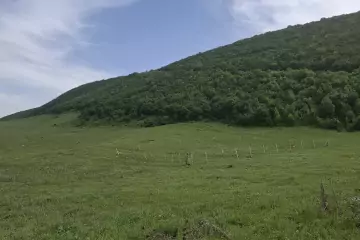 Satılır Torpaq şamaxı Rayonunda